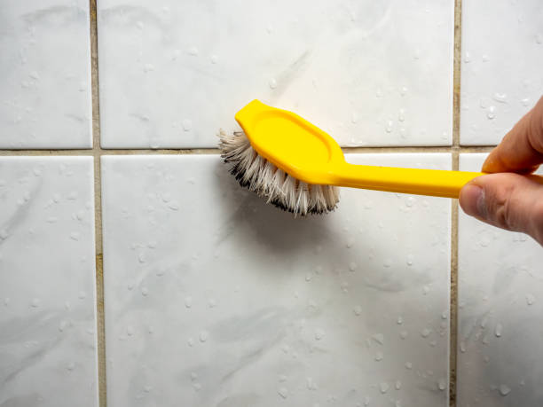 Best Residential Mold Removal  in Munising, MI