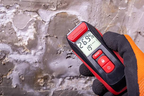 Best Toxic Mold Removal  in Munising, MI