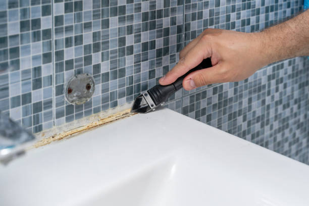 Best Mold Remediation  in Munising, MI